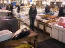 Tsukiji fish market * 600 x 450 * (165KB)